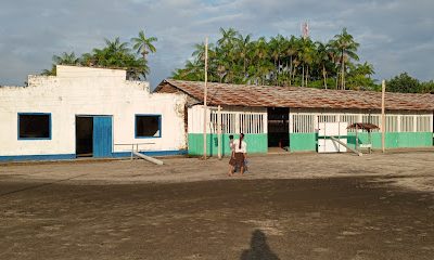 Iglesias Biblicas Unidas EMANUEL