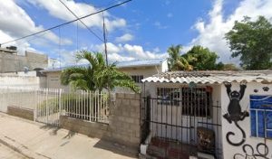 Iglesia Testigos De Jehová