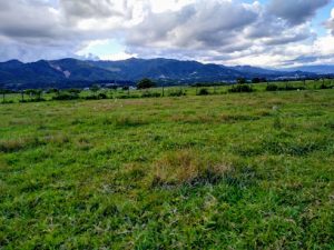Parroquia San Rafael Arcángel