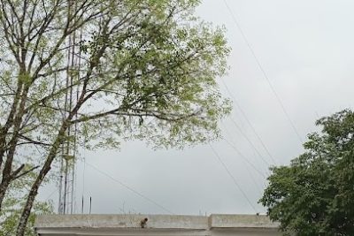 La iglesia de dios