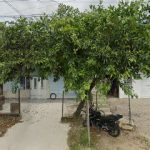 Iglesia de Dios Ministerial internacional de Jesucristo