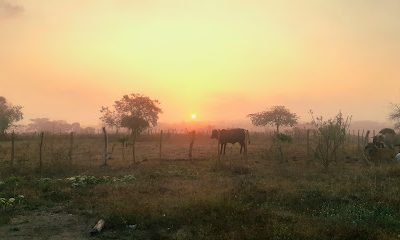 Vía Perendengue, San Pedro, Sucre. Colombia.