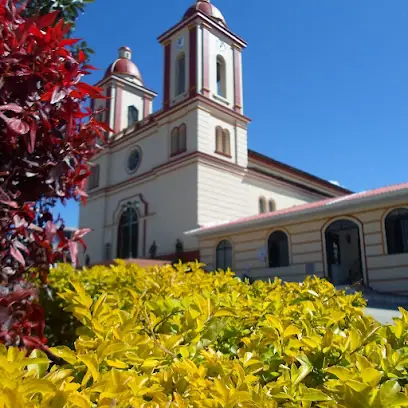 Parroquia San Antonio De Padua