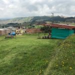 Parroquia Jesús de la Divina Misericordia