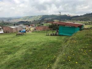 Parroquia Jesús de la Divina Misericordia