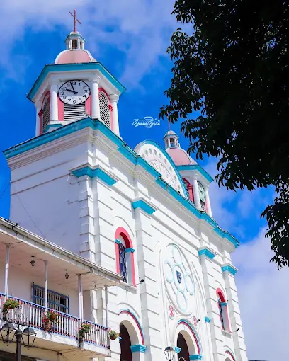 Parroquia De La Inmaculada Concepcion