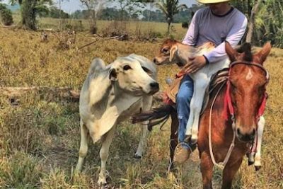 Iglesia Cristiana Cuadrangular La Gran Cosecha