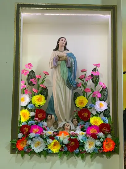 Parroquia Inmaculada Concepción